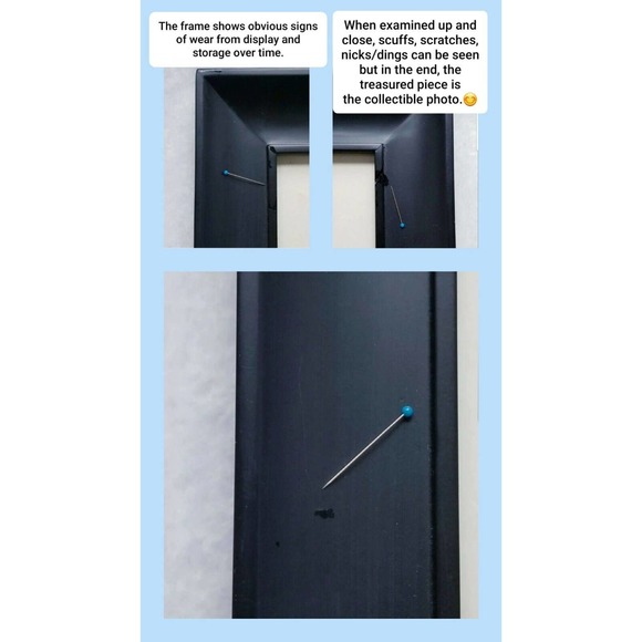 ROBIN RICE ORIGINAL SIGNED 1/25 EQUESTRIAN HORSEBACK RACING FRAMED PHOTOGRAPH - Picture 8 of 12